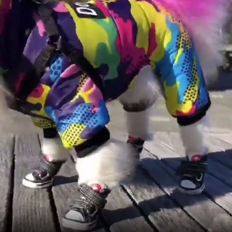 Pet Dog Shoes for Small large Dogs Blue Sneakers Puppy Cat Classic Canvas Boots Teddy Pomeranian Antislip Comfortable 240117