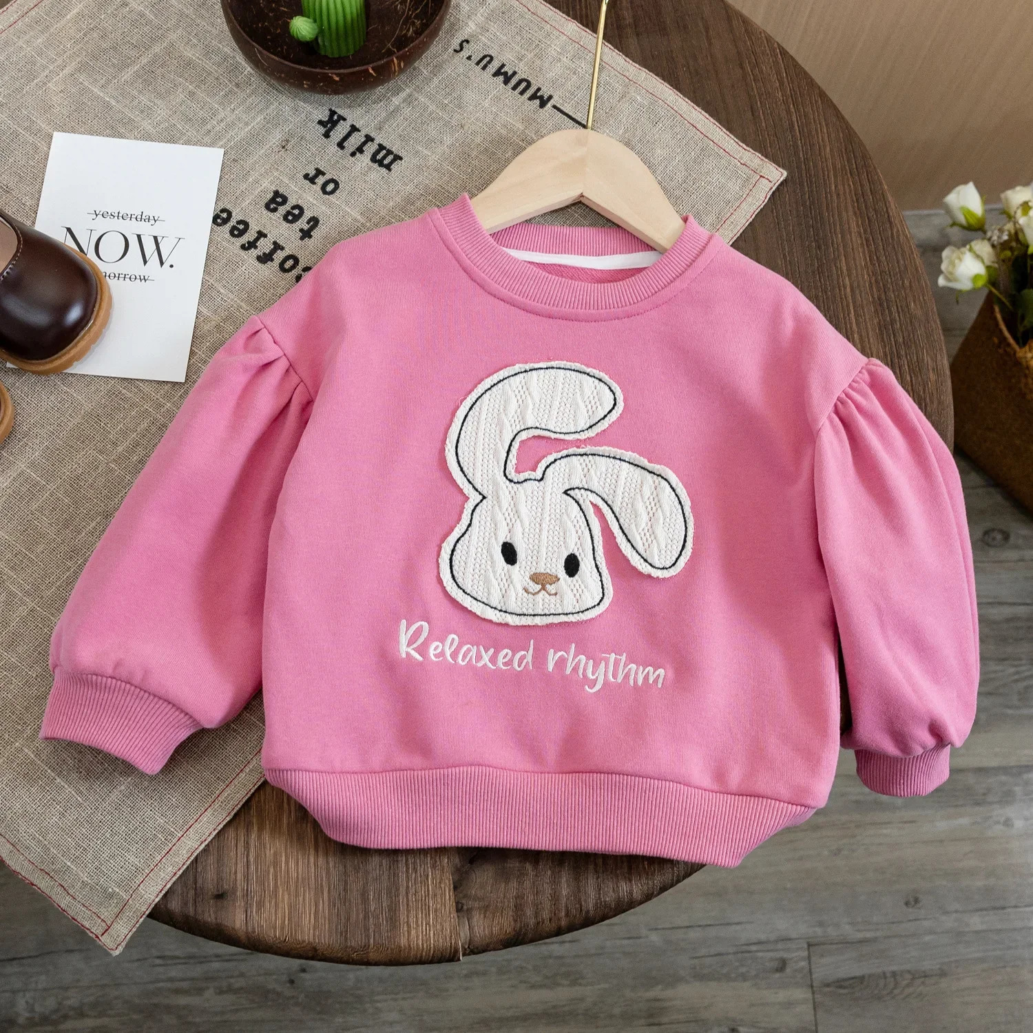 Baby Girls Sweatshirt Toddler Kids Rabbit Print Hoodies Thicken Shirts Autumn Winter 1 To 6 Yrs Children's Clothes Princess 240117