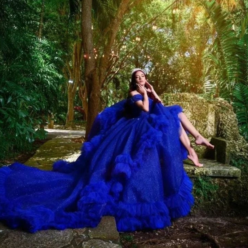 Royal Blue Quinceanera Dress Ball Gown Tulle Off the Shoulder Luxury Quinceanera Gown Sheer Applique Lace Beads Girl's Sweet 16 Dress