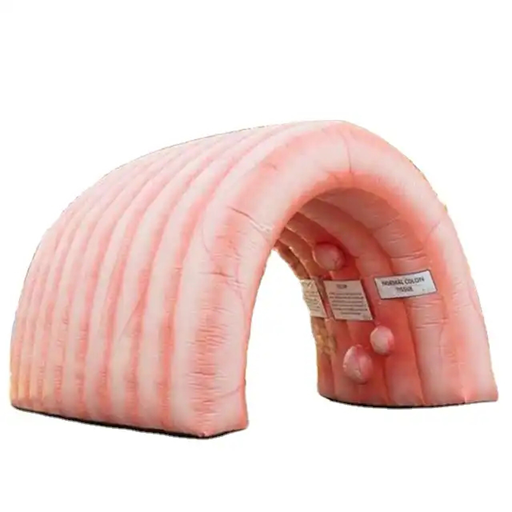Wholesale High Quality Giant Inflatable Colon For Medical Teaching Use Custom Inflatable Intestine Organ Tunnel Tent