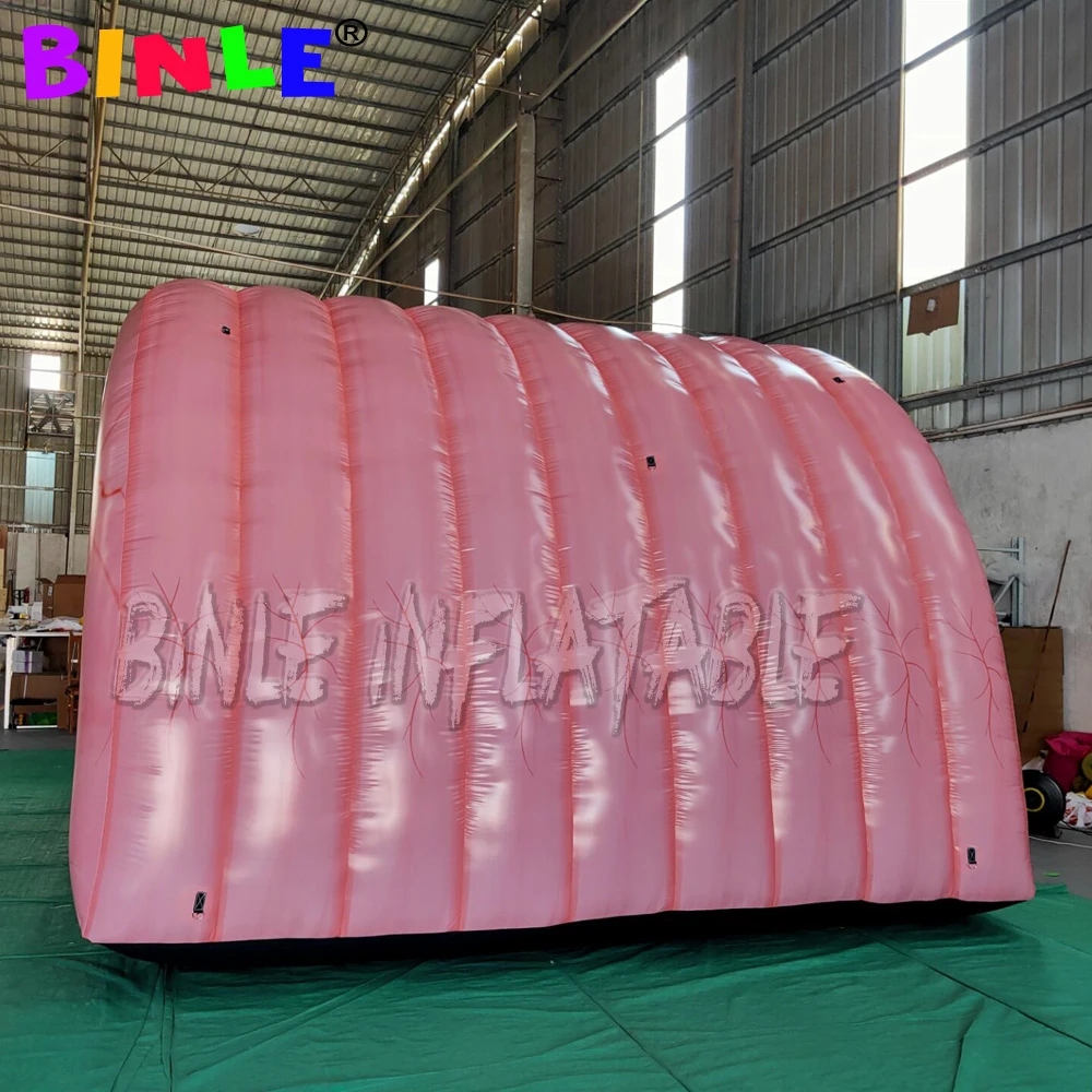 Wholesale High Quality Giant Inflatable Colon For Medical Teaching Use Custom Inflatable Intestine Organ Tunnel Tent