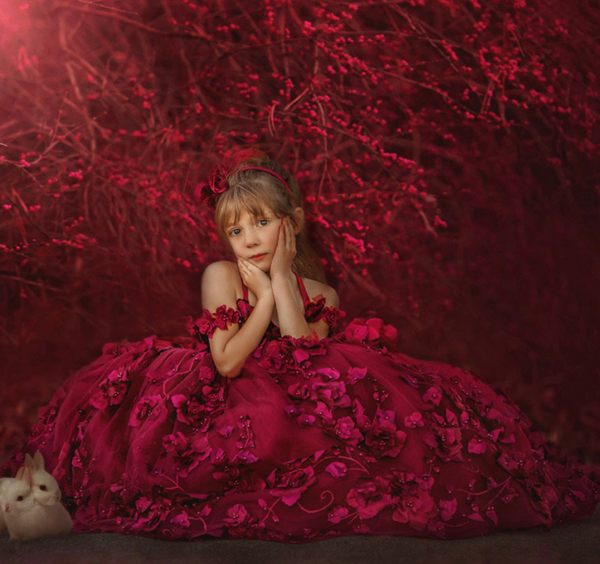 Red Lace Flower Girl Dresses For Wedding 3D Floral Appliques Ball Gown Toddler Pageant Gowns Flowers Floor Length First Communion Dress