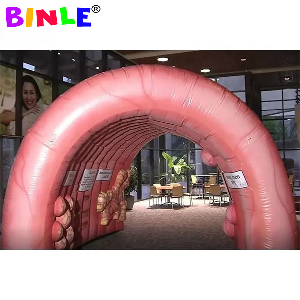 Wholesale High Quality Giant Inflatable Colon For Medical Teaching Use Custom Inflatable Intestine Organ Tunnel Tent