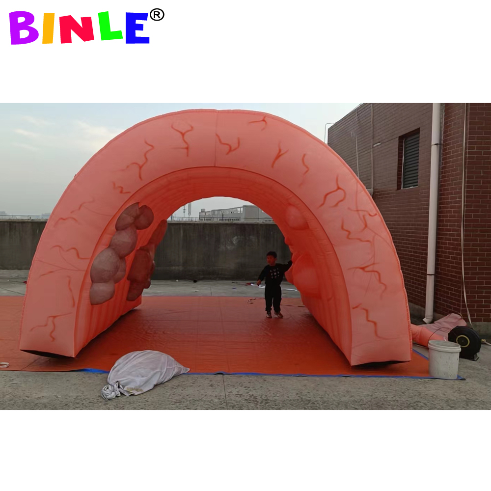 Wholesale High Quality Giant Inflatable Colon For Medical Teaching Use Custom Inflatable Intestine Organ Tunnel Tent