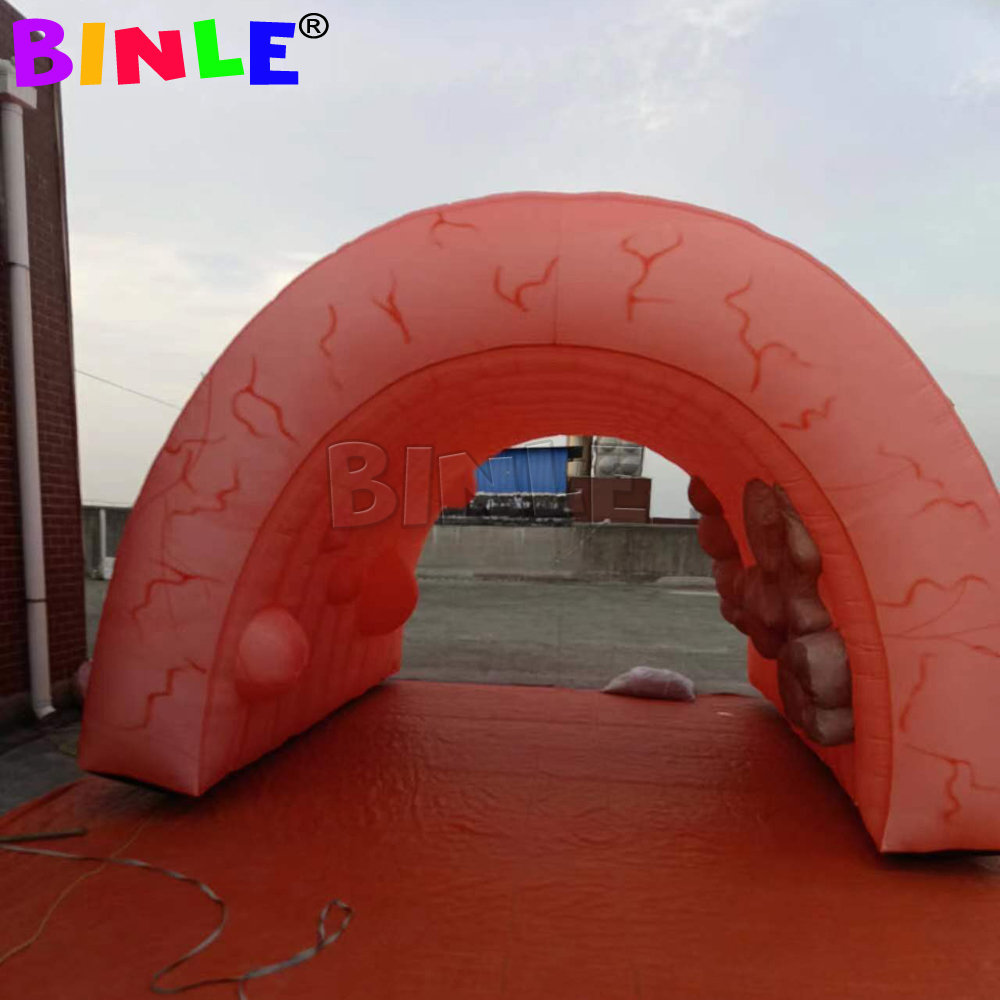 Wholesale High Quality Giant Inflatable Colon For Medical Teaching Use Custom Inflatable Intestine Organ Tunnel Tent