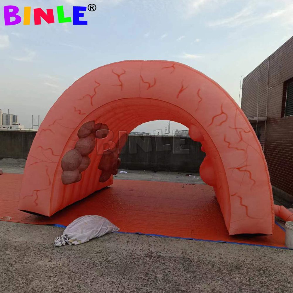 Wholesale High Quality Giant Inflatable Colon For Medical Teaching Use Custom Inflatable Intestine Organ Tunnel Tent