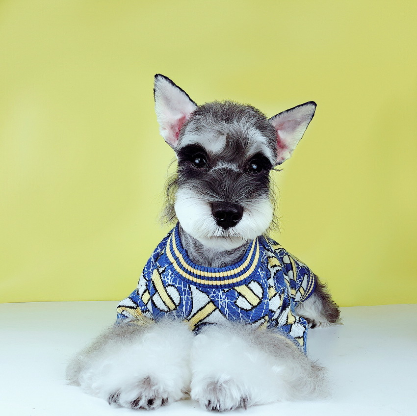 Designer Clothes Warm Winter Sweater with Letter Pattern Cold Weather Dog Apparel for Small Dogs Indoor Outdoor, Soft Classic Knit Puppy Coat Blue S 9