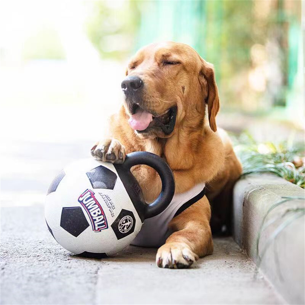 Pet Dog Toy Ball Bite-Resistant Basketball Rubber Handle Indestructible Large Dog Training Interactive Game Ball Toy 20cm