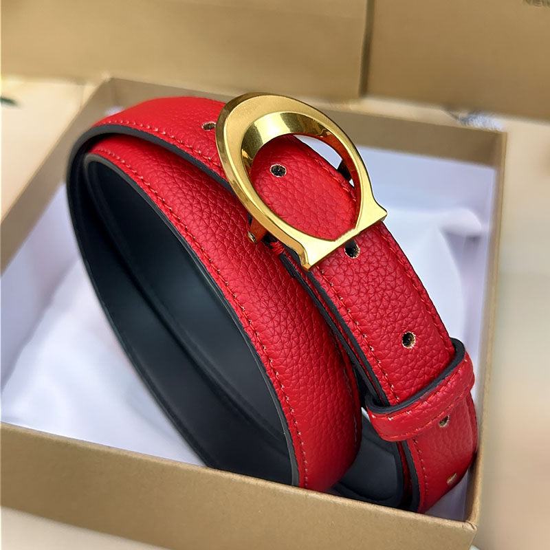 Fashion belt brand gold sier buckle cintura belts for women designer cinture width 2.5cm gift high quality