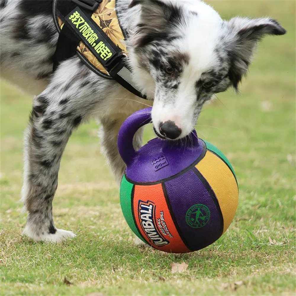 Pet Dog Toy Ball Bite-Resistant Basketball Rubber Handle Indestructible Large Dog Training Interactive Game Ball Toy 20cm