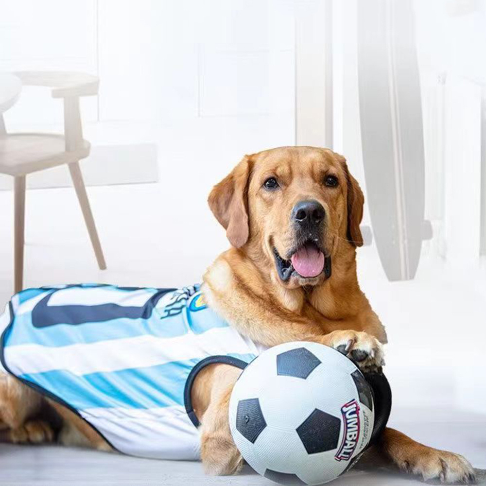 Pet Dog Toy Ball Bite-Resistant Basketball Rubber Handle Indestructible Large Dog Training Interactive Game Ball Toy 20cm
