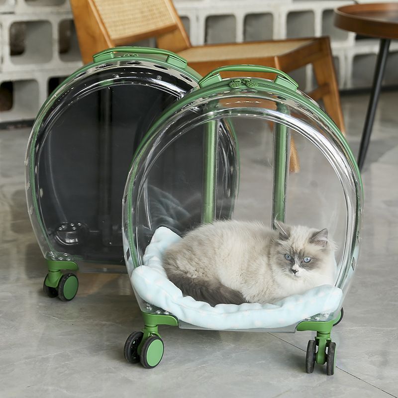 2026 transparent cat carrying case large capacity cat dog aviation case pet transparent pull rod space capsule portable outdoor bubble Draw bar box Pe