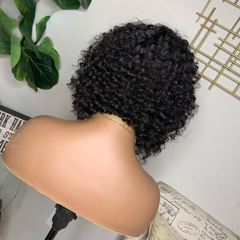 Free shipping Brazilian Jerry 13x4 Lace Front Wig Human Hair Natural Black Color Free Part Transparent Short Curly Wigs Synthetic for Women