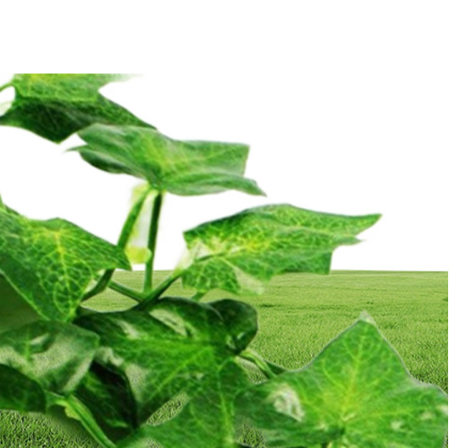 100pcs Leaf 1 piece 24M Home Decor Artificial Ivy Leaf Garland Plants Vine Fake Foliage Flowers Creeper Green Ivy Wreath6000176