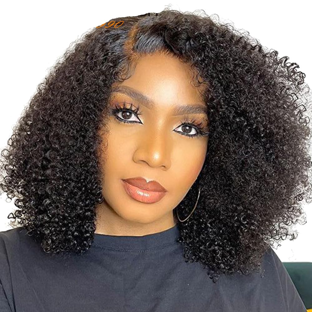 Afro Kinky Curly Human Hair Front Bob Wig 4X4 5X5 13X4 13X6 Glueless Lace Wigs Pre Plucked Natural Hairline