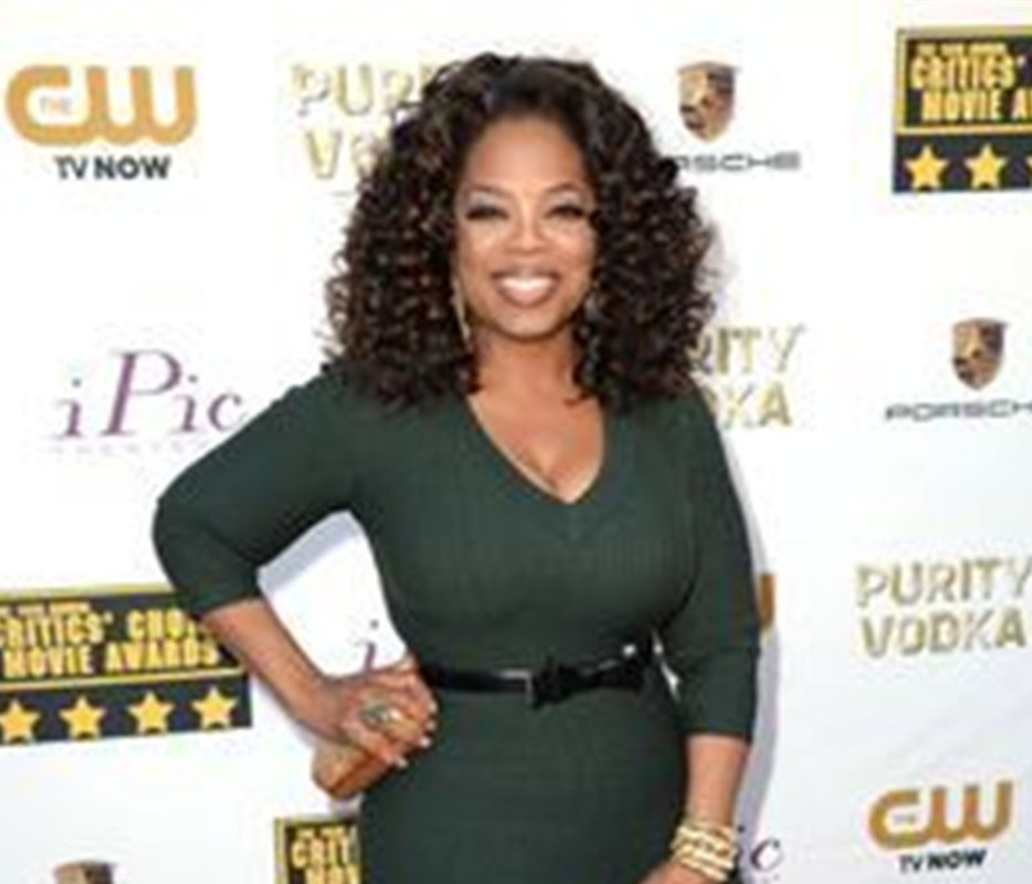 fashion oprah winfrey hairstyle brown curly lace front brazilian hair wigs glueless wigs for black women multi color aviable 150%