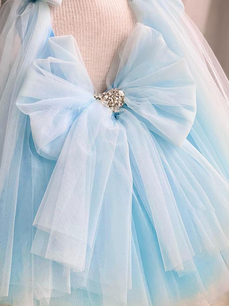 Sky Blue 2024 Flower Dresses Butterfly Puffy Girl Pageant Dress Birthday Gowns Hand Made Flowers Colorful Tiered Tulle Princess Queen Marriage Gown 40