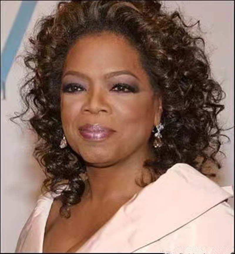Oprah winfrey stunning brown curly brazilian remy human hair lace front wigs glueless wigs for black women aviable 150% 14inch