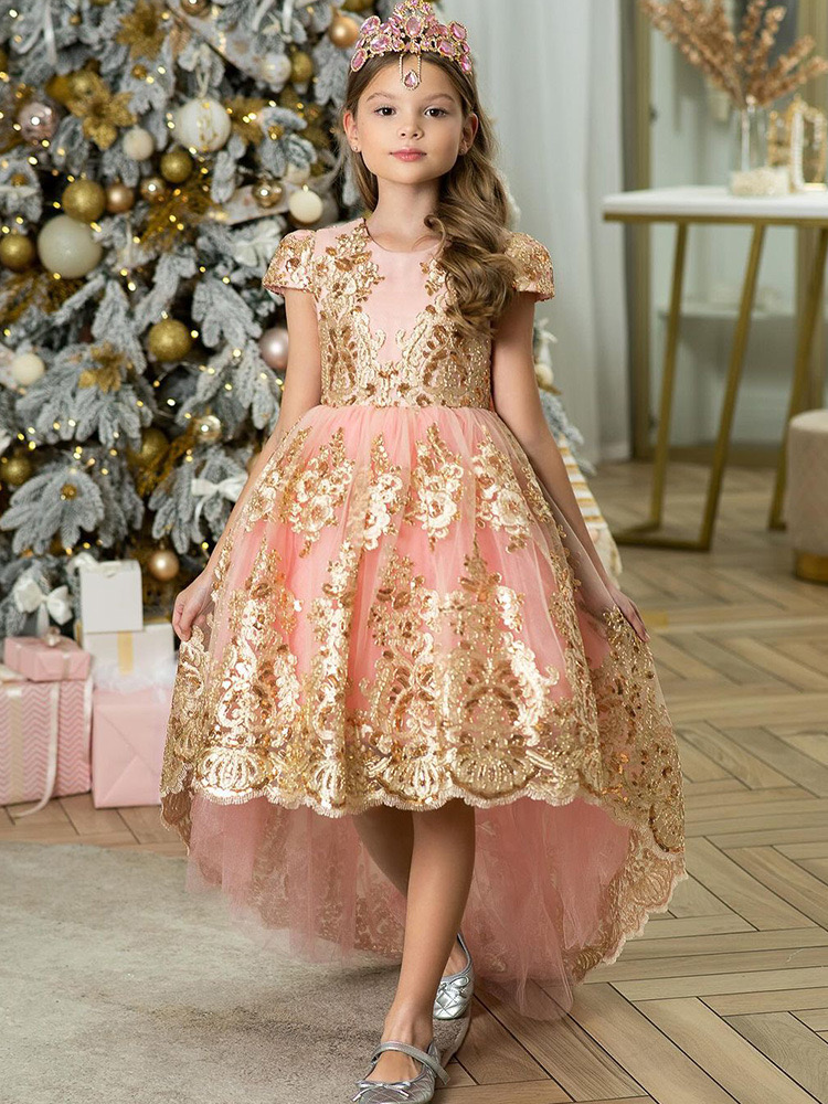 2024 Pink Girls Princess Ball Organza Flower Girl Dresses Hand Made Flowers Beads Crystals Gold Lace Toddler Page Kids Birthday Pageant Wed Gown 403