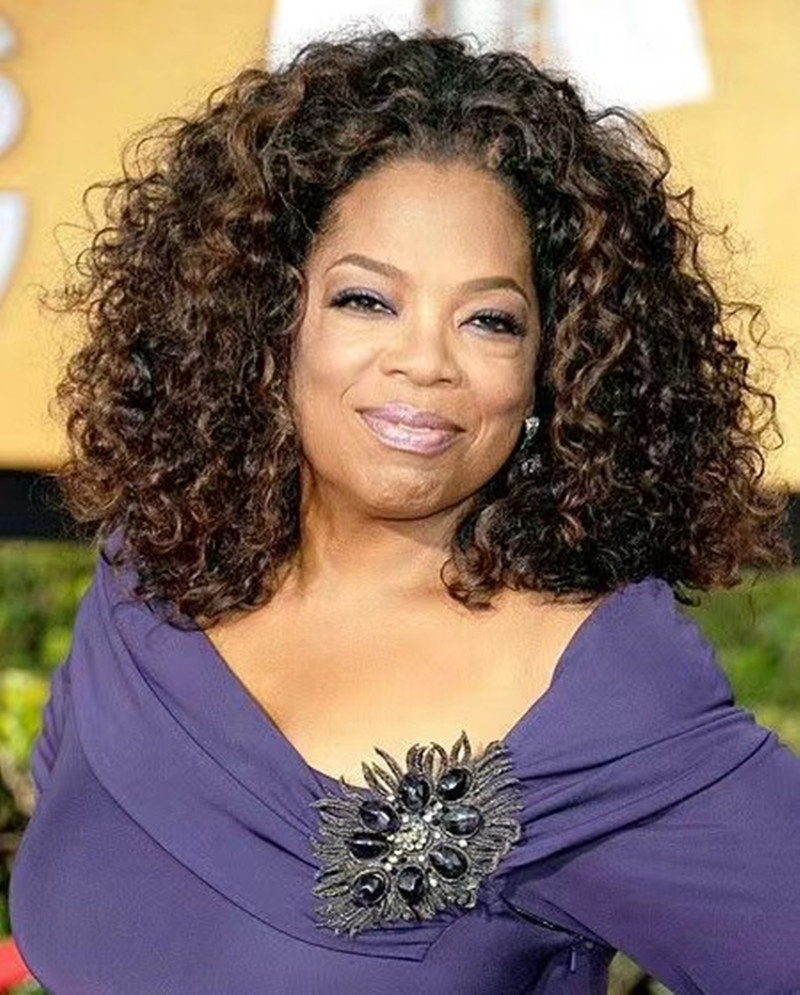 Oprah winfrey stunning brown curly brazilian remy human hair lace front wigs glueless wigs for black women aviable 150% 14inch
