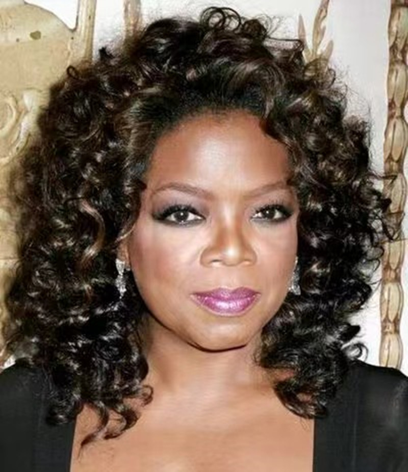 Oprah winfrey stunning brown curly brazilian remy human hair lace front wigs glueless wigs for black women aviable 150% 14inch