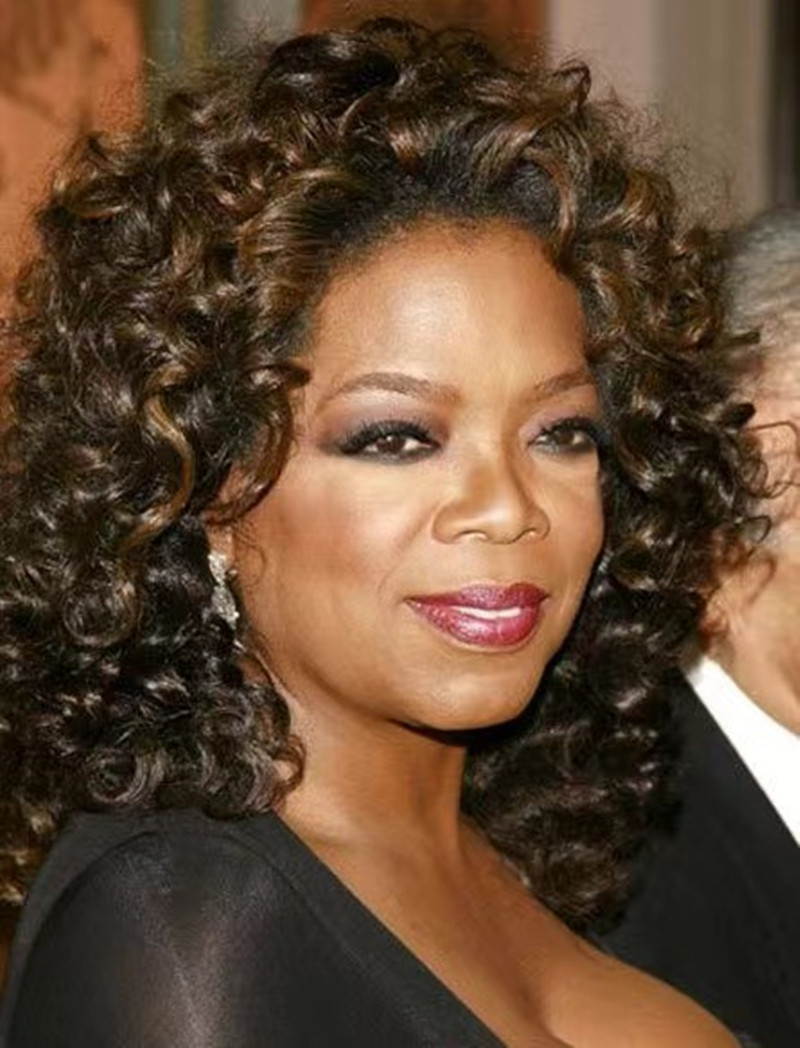 Oprah winfrey stunning brown curly brazilian remy human hair lace front wigs glueless wigs for black women aviable 150% 14inch