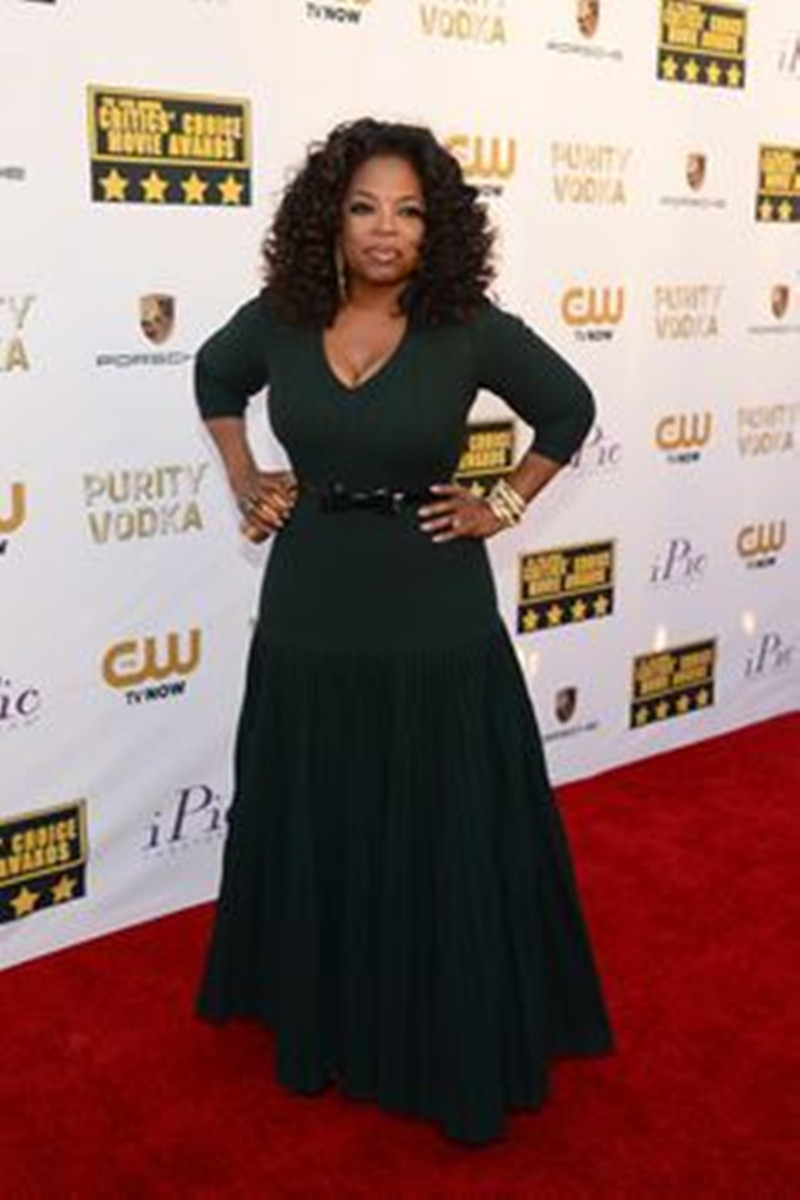 fashion oprah winfrey hairstyle brown curly lace front brazilian hair wigs glueless wigs for black women multi color aviable 150%