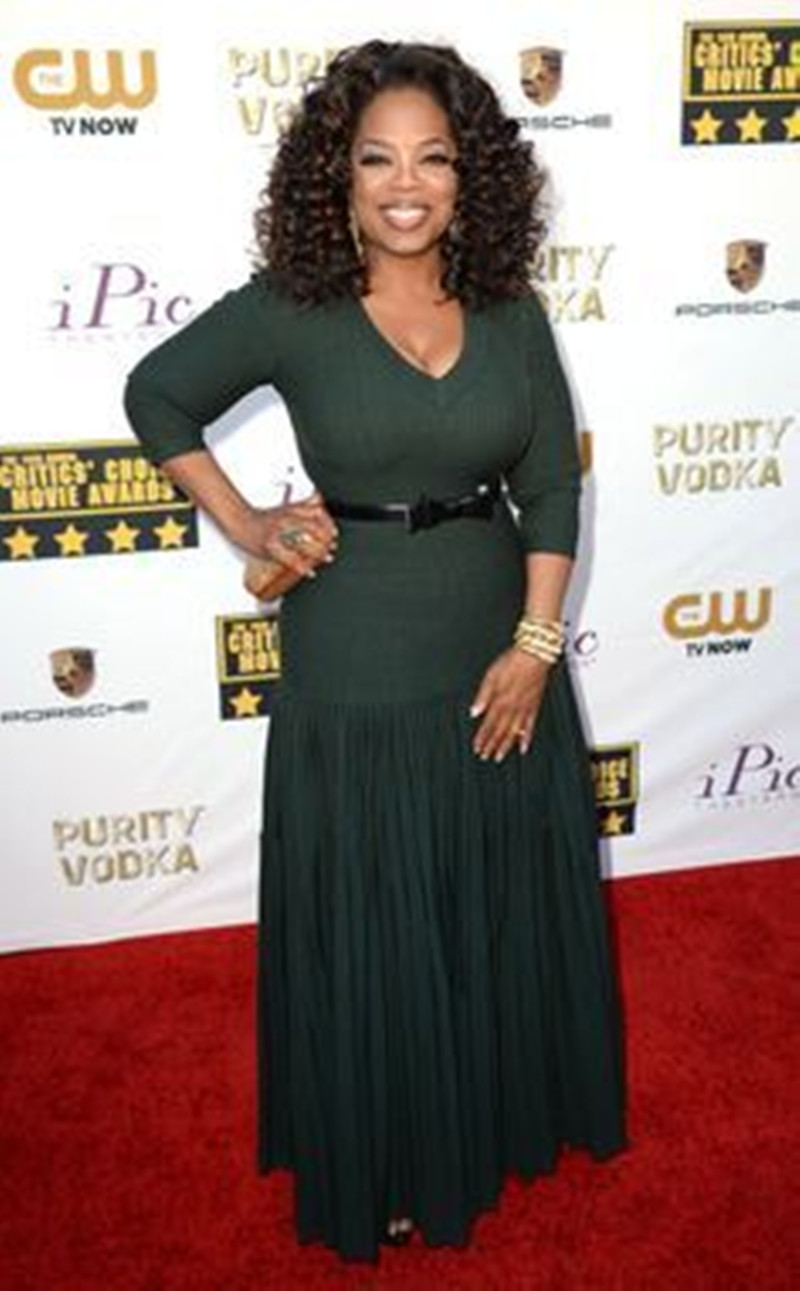 fashion oprah winfrey hairstyle brown curly lace front brazilian hair wigs glueless wigs for black women multi color aviable 150%