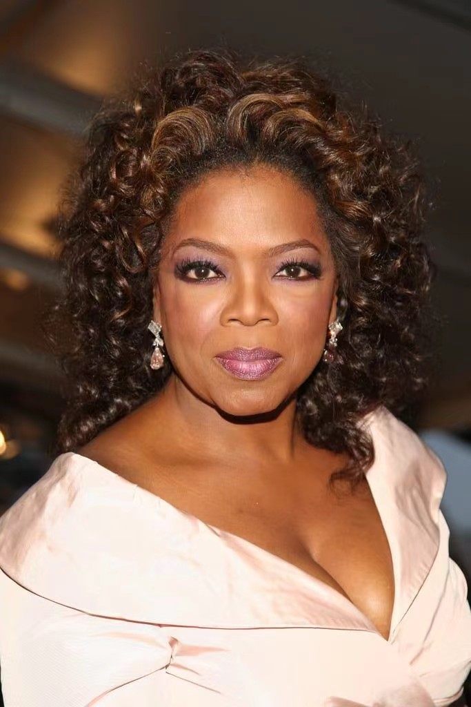 Oprah winfrey stunning brown curly brazilian remy human hair lace front wigs glueless wigs for black women aviable 150% 14inch