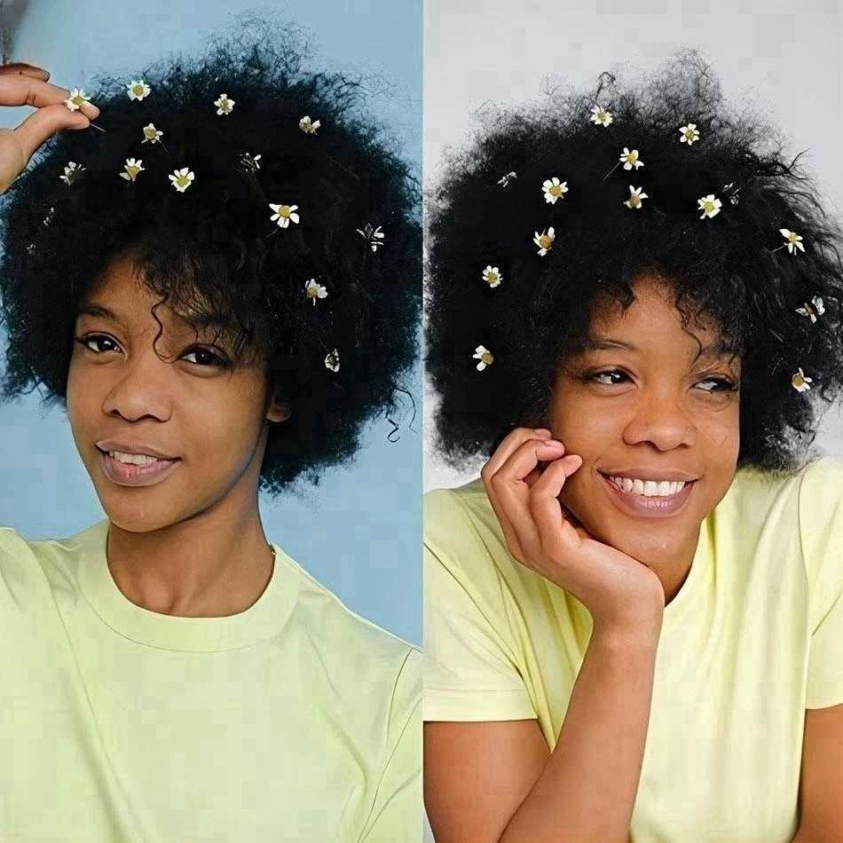 Short African Twisted Curled 99J Female Wig 100% Human Hair Wig 180% Density Elf Curled African Wig W240801