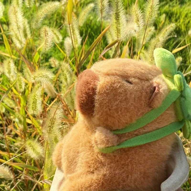 23cm Capybara Plush Simulation Capibara Anime Fluffty Toy Cute Doll Stuffed Animals Soft Doll Plush Christmas Thanksgiving Gift Y240801