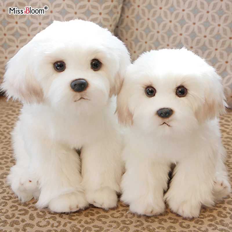 Maltese Stuffed Dog Dolls Plush Toy Cute Simulation Pets Fluffy Baby Birthday Gifts Christmas Children Malzis Puppy Dropshipping Y240801