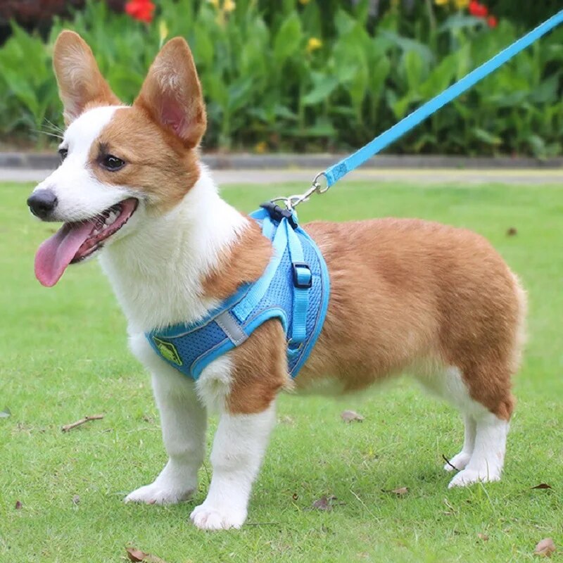 2026 New No Pull Dog Leash Set, Breathable Soft Mesh Puppy Vest Harness Reflective Adjustable Pet Harnesses Small Dogs And Cats - Outdoor Ea