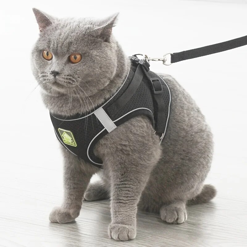 2026 New No Pull Dog Leash Set, Breathable Soft Mesh Puppy Vest Harness Reflective Adjustable Pet Harnesses Small Dogs And Cats - Outdoor Ea