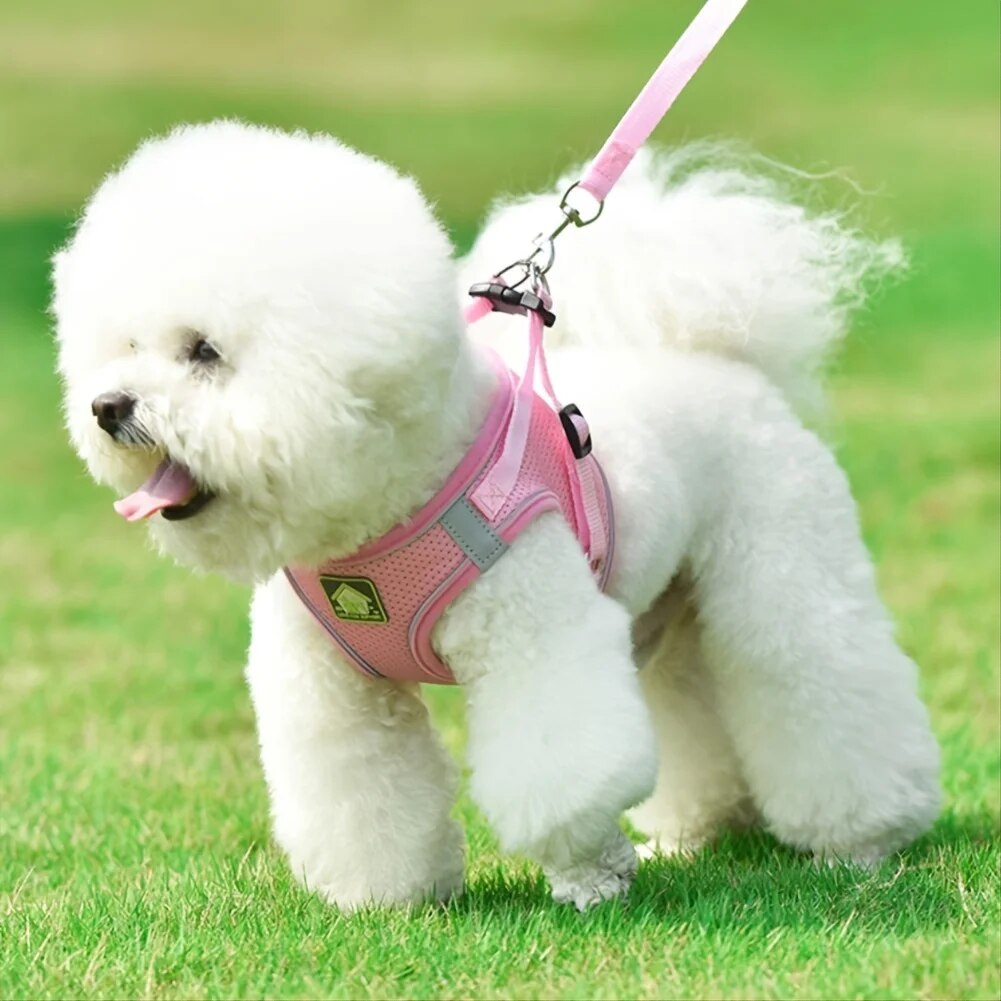 2026 New No Pull Dog Leash Set, Breathable Soft Mesh Puppy Vest Harness Reflective Adjustable Pet Harnesses Small Dogs And Cats - Outdoor Ea
