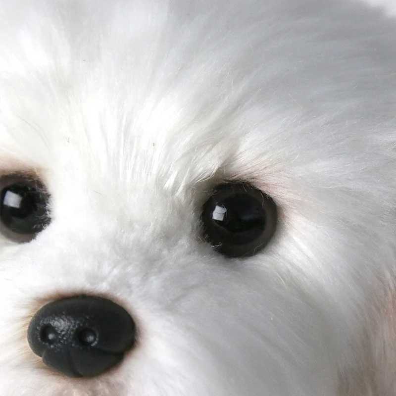 Maltese Stuffed Dog Dolls Plush Toy Cute Simulation Pets Fluffy Baby Birthday Gifts Christmas Children Malzis Puppy Dropshipping Y240801