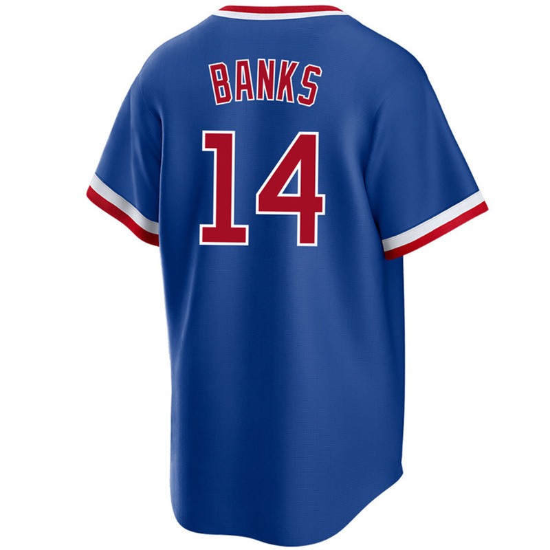 Alex Bregman Pete Crow-Armstrong Dansby Swanson Baseball Jersey Shota Imanaga Ernie Banks Seiya Suzuki Chicago Ian Happ Cub Nico Hoerner Ryne Sandberg