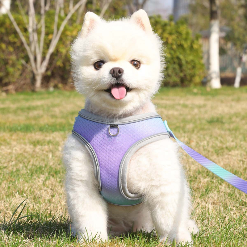 Candy Color Dog Harness and Leash Set, No Pull Soft Mesh Pet Harness, Reflective Adjustable Puppy Vest for Small Dogs, Cats (Tie-dye pink, Medium) B24