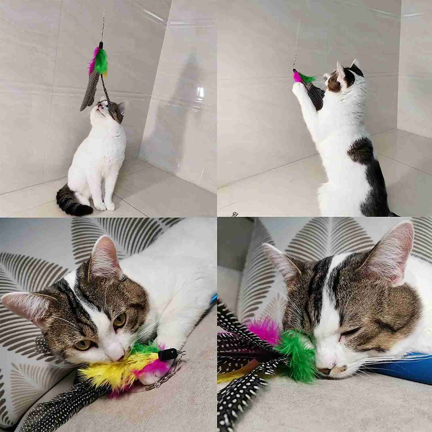 10PCS Replacement Cat Feather ToysNatural Feather Refills for Indoor Cat ToysKitten Cat Having Fun Exercise PlayingXJ2025 - view 6