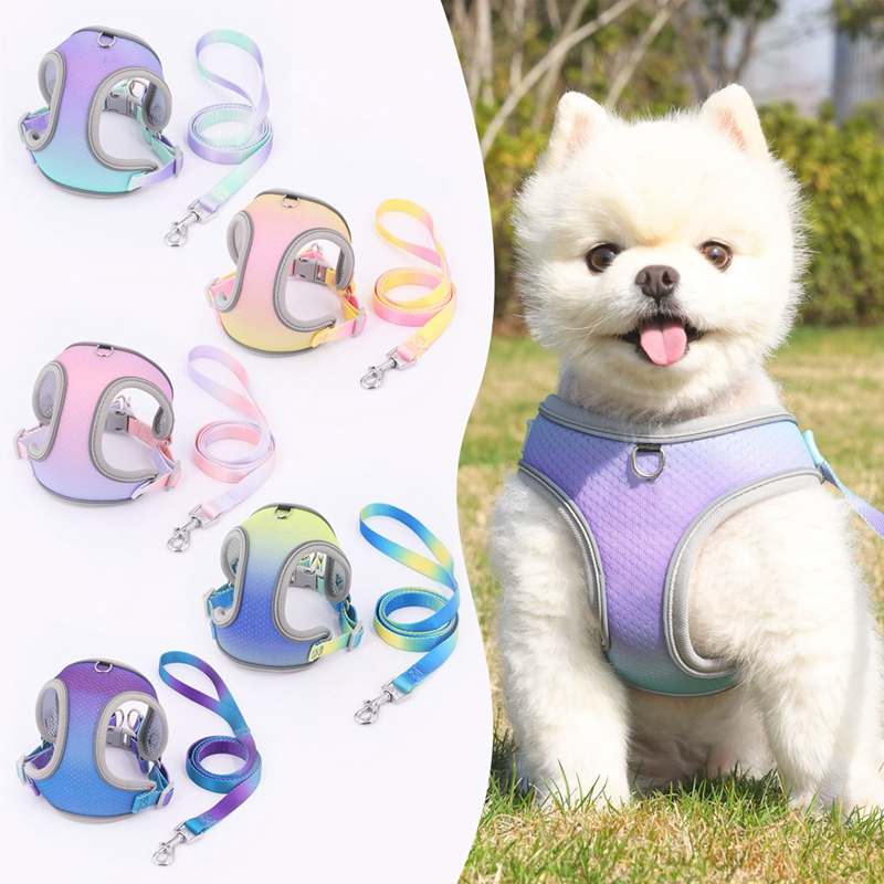 Candy Color Dog Harness and Leash Set, No Pull Soft Mesh Pet Harness, Reflective Adjustable Puppy Vest for Small Dogs, Cats (Tie-dye pink, Medium) B24