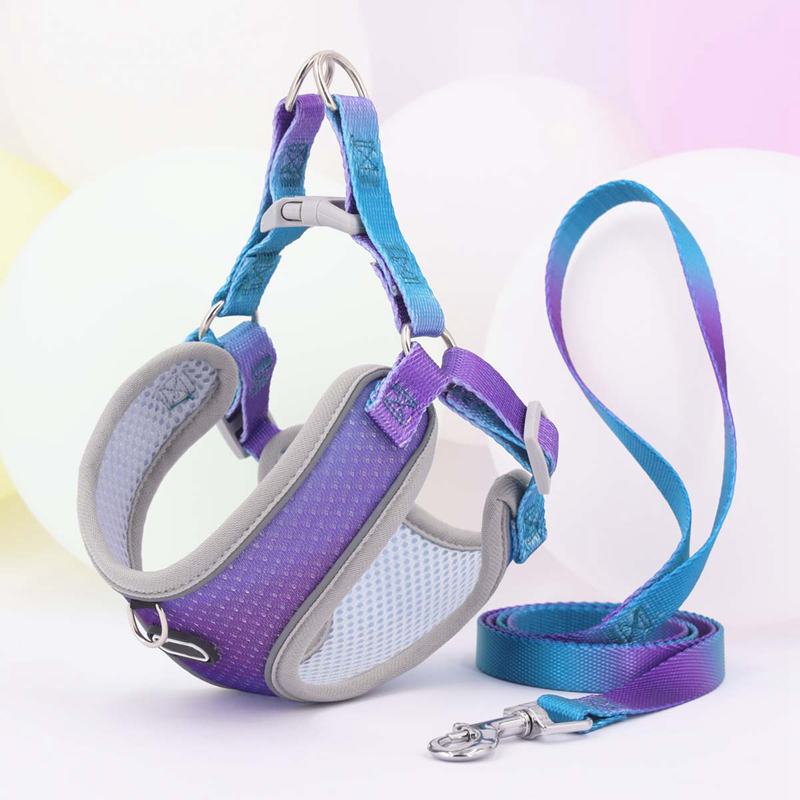 Candy Color Dog Harness and Leash Set, No Pull Soft Mesh Pet Harness, Reflective Adjustable Puppy Vest for Small Dogs, Cats (Tie-dye pink, Medium) B24