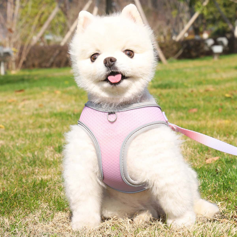 Candy Color Dog Harness and Leash Set, No Pull Soft Mesh Pet Harness, Reflective Adjustable Puppy Vest for Small Dogs, Cats (Tie-dye pink, Medium) B24