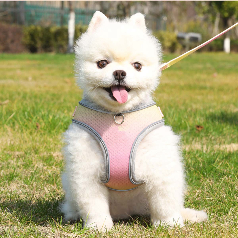 Candy Color Dog Harness and Leash Set, No Pull Soft Mesh Pet Harness, Reflective Adjustable Puppy Vest for Small Dogs, Cats (Tie-dye pink, Medium) B24