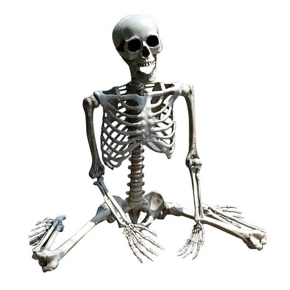 Halloween Skeleton Full Body Realistic Human Bones with Posable Joints for Halloween Pose Skeleton Prop Decoration 70cm Y240801