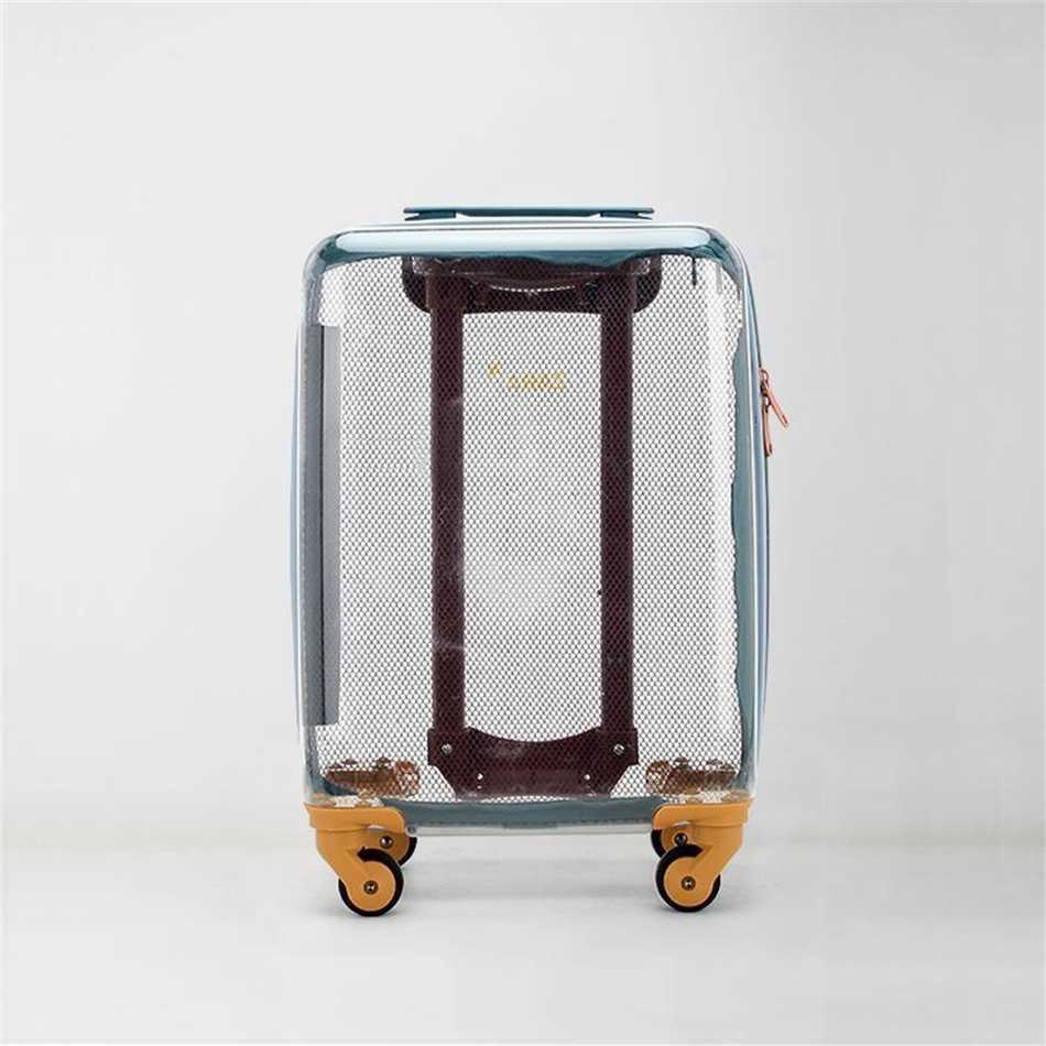 Sell Transparent Suitcases Fashion Luggage Pouch Small 14Inch Boys Girls Light Cute Boarding Travel Bag Trolley Suitcase