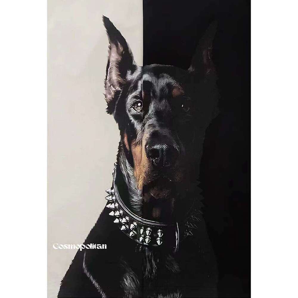 2025S Fashion Designer T Shirt Mens Oversized Doberman Graphic Tees Shirt Casual Summer Tops Streetwear Aesthetic T Shirt Unisex Tshirt Clothes Short 