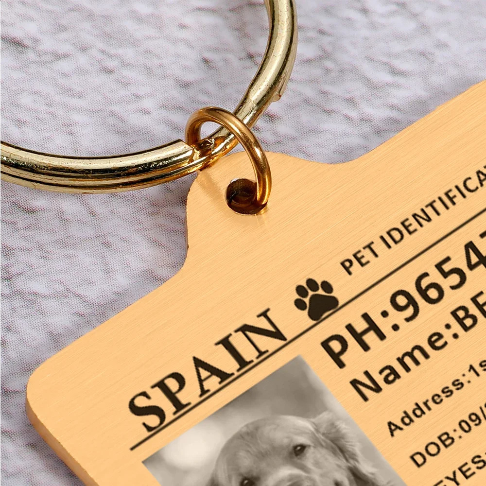 Personalized Dog ID Tag Custom Pet ID Card Identification Anti-lost Dog Cat Information Collar Stainless Steel for Puppy Plate 240801
