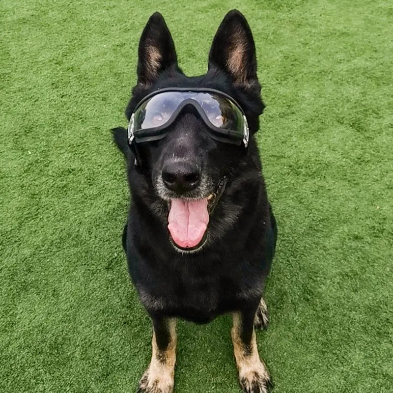 2026 New Fashion Medium Large Pet Glasses Pet Eyewear Waterproof Dog Protection Goggles UV Sunglasses 240801 Free Shipping