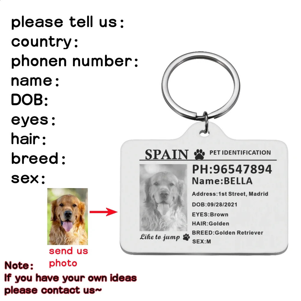 Personalized Dog ID Tag Custom Pet ID Card Identification Anti-lost Dog Cat Information Collar Stainless Steel for Puppy Plate 240801