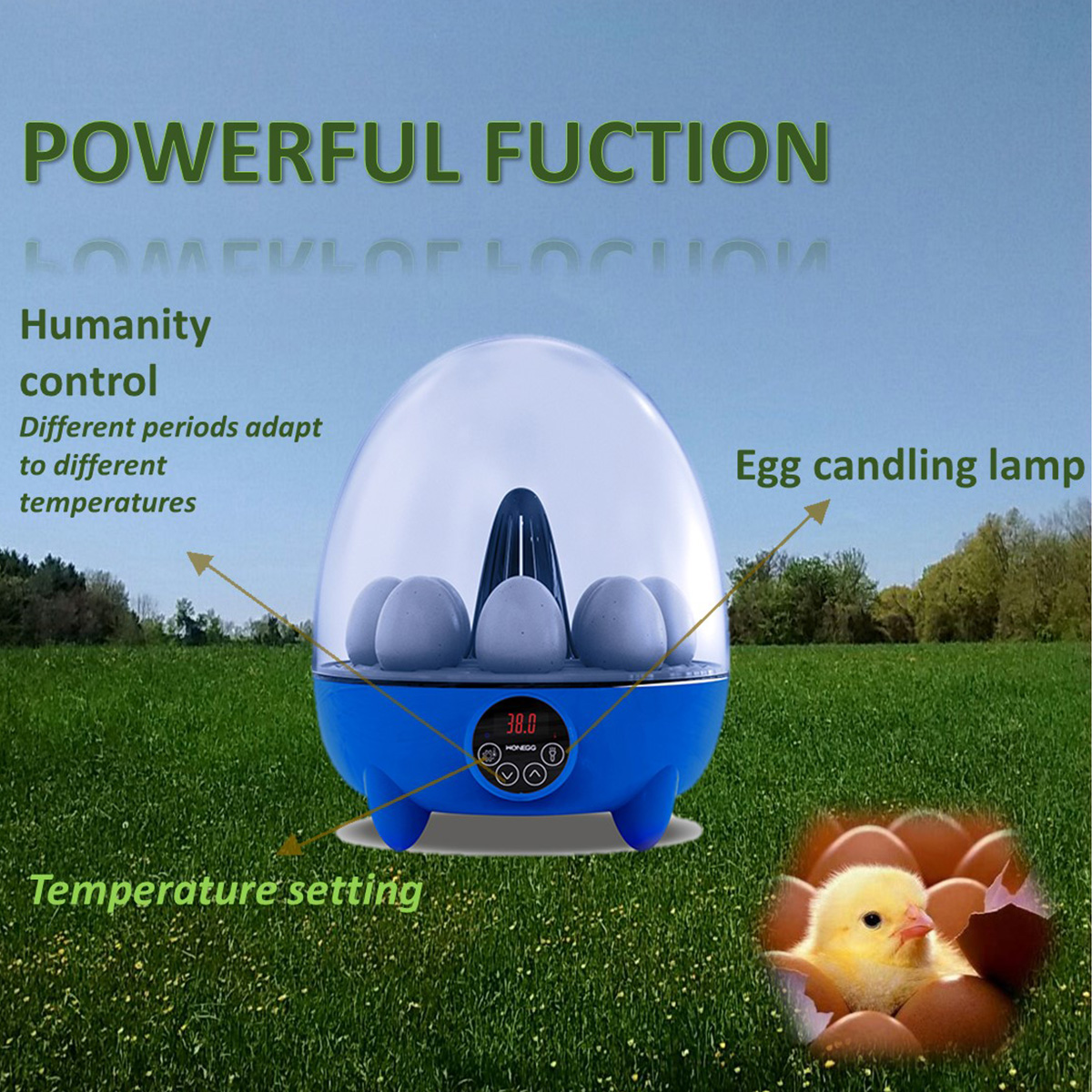 Egg incubator for hatching eggs, automatic temperature control, automatic flipping of eggs, temperature display